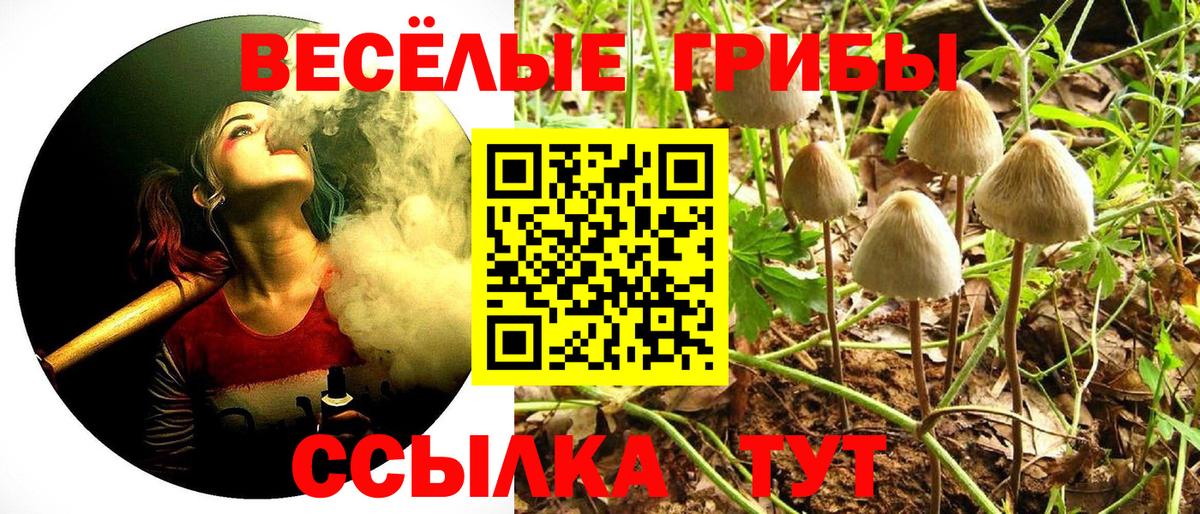 Псилоцибиновые грибы ЛСД Холмск
